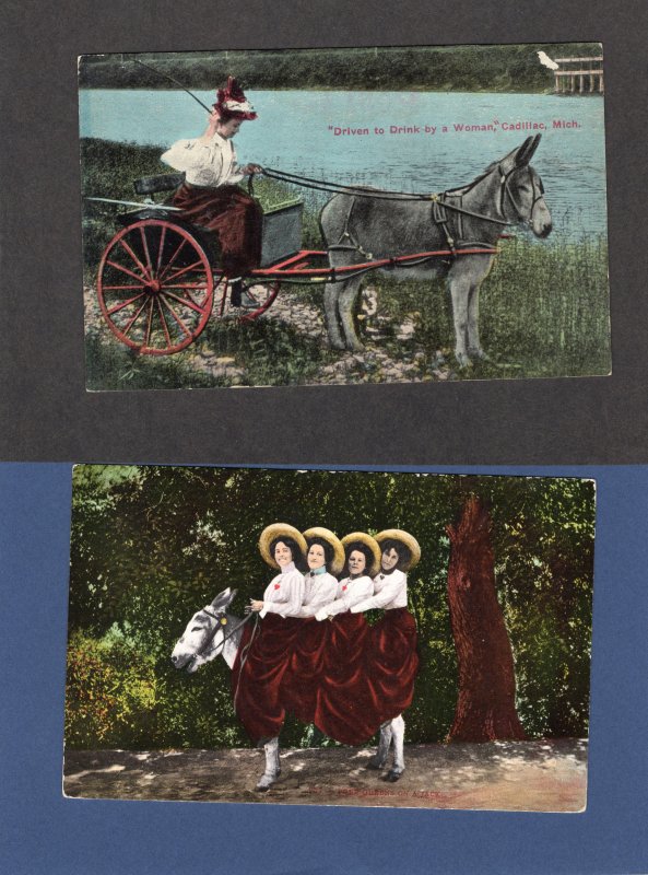 Girls / Women and Donkeys, Burros, Cart, Driven To Drink By A Women, Vtg