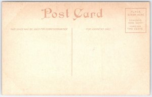 Joliet Public Library Illinois IL Postcard Early 1900s Architecture View