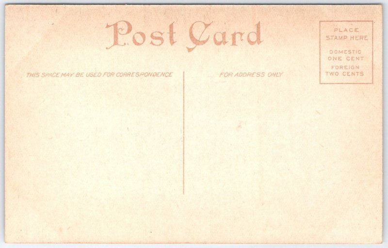 Joliet Public Library Illinois IL Postcard Early 1900s Architecture View