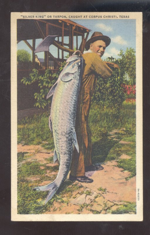 CORPUS CHRISTIE TEXAS GIANT TARPON FISH FISHING CATCH VINTAGE POSTCARD