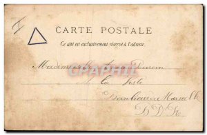 Old Postcard Dog Dogs Greyhound Under the arbor