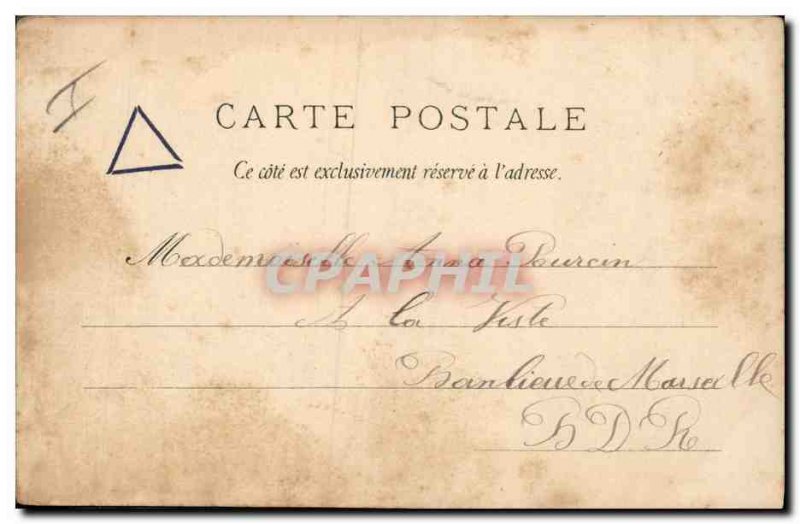 Old Postcard Dog Dogs Greyhound Under the arbor