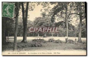 Old Postcard Foret Senart The intersection of Oak and Antin