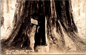 RPPC Giant Hollow Stump, Big Tree Park CA Vintage Postcard Q59