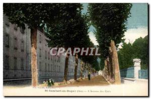 St Rambert in Buget - L & # 39Avenue of Cites - Old Postcard