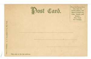 NY - NY City Fire Dept. Working the Fire  ca 1905