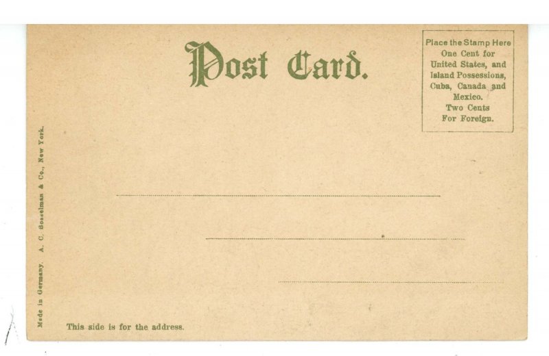 NY - NY City Fire Dept. Working the Fire  ca 1905