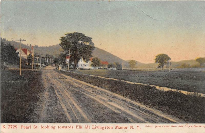 B18/ Livingston Manor New York NY Postcard 1907 Pearl Street Homes Elk Mountain