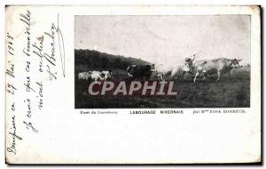 Old Postcard Plowing Nivernais by Ms. Rosa Bonheur hitch Musee du Luxembourg ...