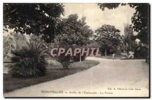 Montpellier - Garden of & # 39Esplanade - Old Postcard