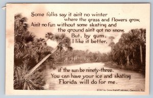 Florida In Winter, Emma Bischoff Johnson Poem, Antique 1917 Sepia Postcard