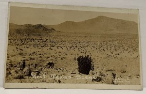 W. H. Horne West Texas El Paso Texas Desert Scene Postcard RPPC
