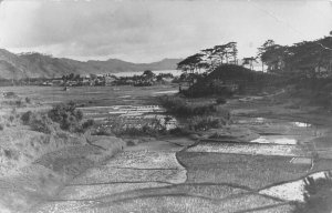  Okinawan Japan Rice Patties RPPC 1950-60 Postcard aa 722