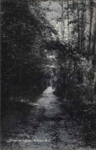 Aiken South Carolina SC Lovers Lane Wooded Path c1910 Vintage Postcard