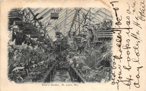 H20/ St Louis Missouri Postcard 1907 Interior Shaw's Garden Greenhouse