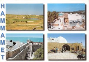 BG21213 hammamet multi views tunisia