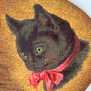 1880s Die-Cut Palettes Adorable Cats Lot Of 4 F124