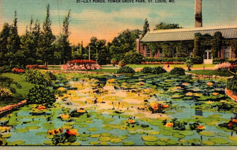 Missouri St Louis Tower Grove Park Lily Ponds