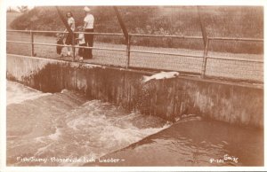 Washington Fish Jump Bonneville Fish Ladder Real Photo