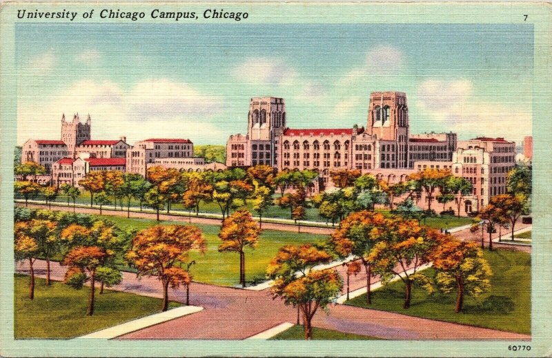 University Chicago Campus IL Illinois Linen Postcard VTG UNP Unused Vintage 