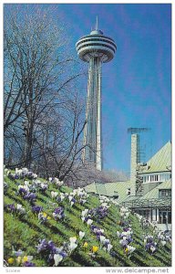 Skylon Tower, Victoria Park Restaurant, NIAGARA FALLS, Ontario, Canada, 40-60´