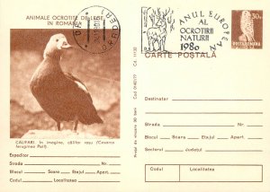 Set of 20 postal stationery postcards animals protected by law in Romania 1980