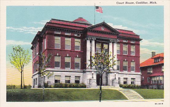 Court House Cadillac Michigan Curteich