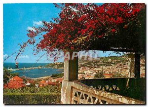 Modern Postcard Funchal Madeira West View