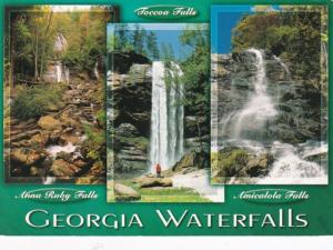 Georgia Waterfalls Anna Ruby Falls Toccoa Falls & Amicalola Falls 2008