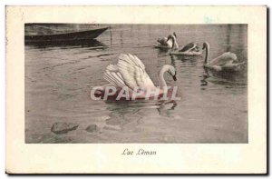 Postcard Fancy Old Swan Swan Lake Geneva