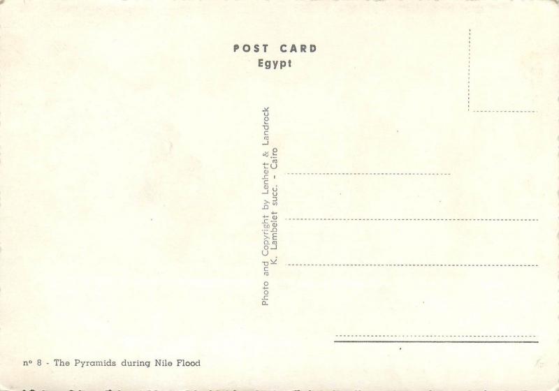 Egypt - The Pyramids during Nile Flood semi-modern postcard