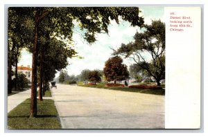 Drexel Boulevard Street View Chicago Illinois IL UNP UDB Postcard Y2