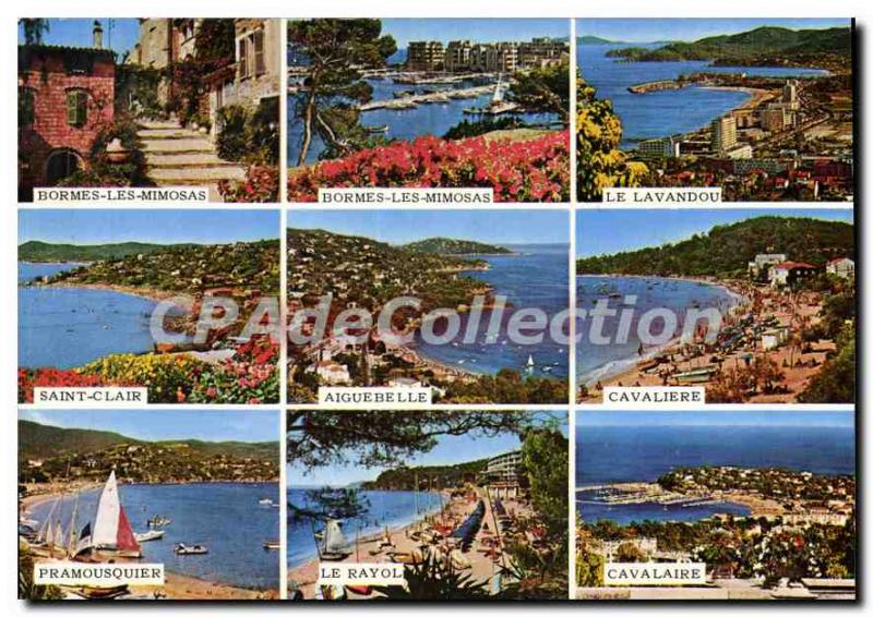 Modern Postcard The French Riviera Var Bormes Les Mimosas Cavalaire