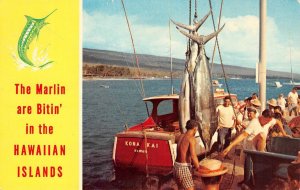 Marlin are Bitin' Fishing In Hawaii, Hawaiian Islands Fishermen 1974 Postcard