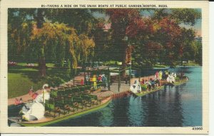 Taking A Ride On The Swan Boats At Public Garden, Boston, Mass.