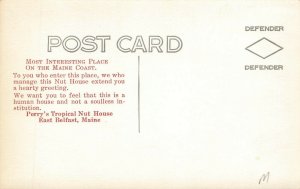 East Belfast ME Perry's Nut House Roadside Attraction Postcard