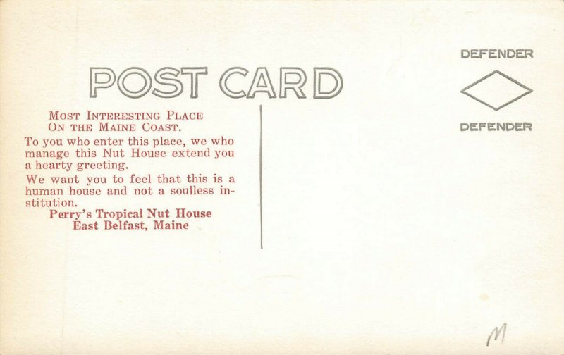 East Belfast ME Perry's Nut House Roadside Attraction Postcard