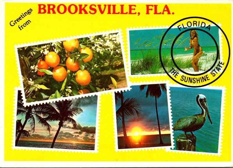 Greetings From Brooksville Florida With Multi View