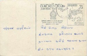 Entier Postal Stationery Postal Sri Lanka Ceylon Lion