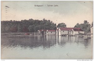 BRIDGEPORT, Michigan; Sylvan Lake, PU-1910