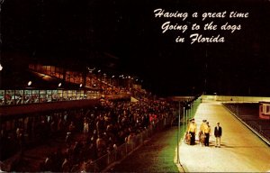 Florida Greyhound Racing Having A Great Time Going To The Dogs 1964