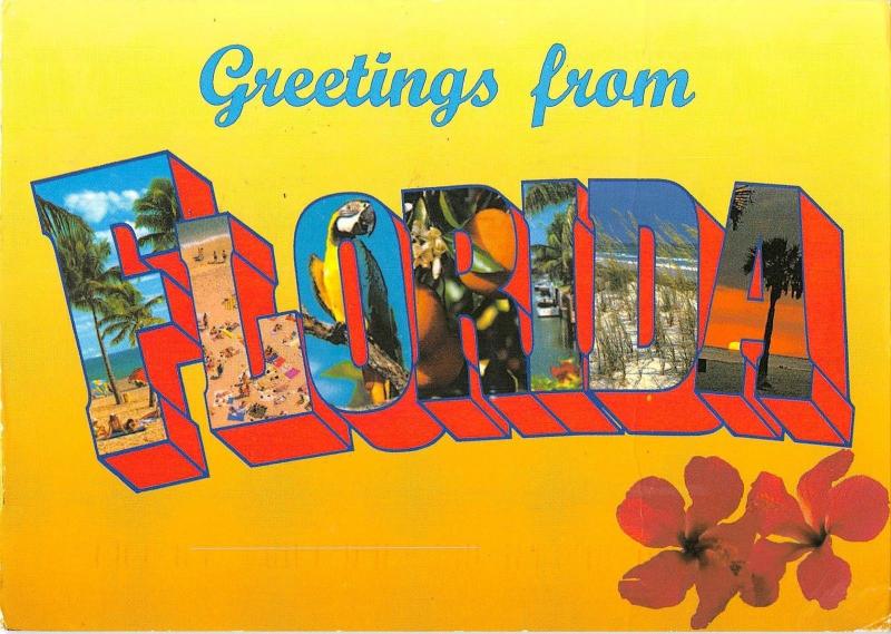 BR100903 greetings from florida   usa