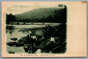 Postcard Ronceverte WV c1905 View of Greenbrier River People on Rocks UDB