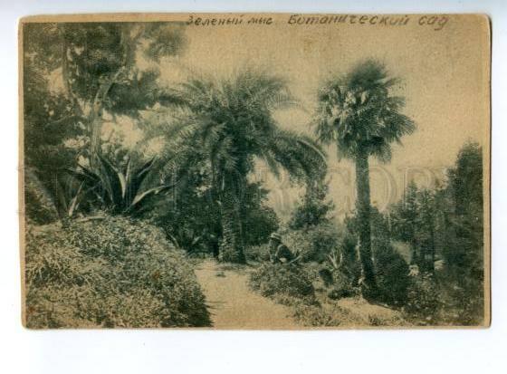 168234 Georgia BATUMI Zeleny Mys Botanical Garden Vintage PC