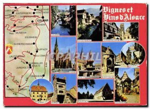 Postcard Modern Vines and Wines of Alsace