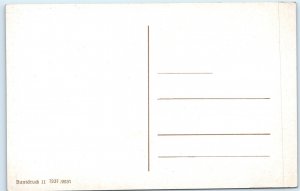 c1910s Berlin, Germany University Statue Columns Wrought Iron Gate Glossy A358