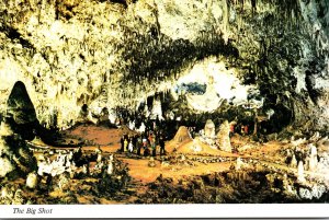 New Mexico Carlsbad Caverns National Park The Big Shot World's Largest F...