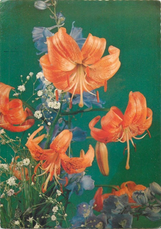 Postkarte tiger lily flower floral motif
