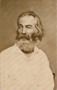 Walt Whitman, 1863 Cvil War Photo, American Literature, Poet, Gay Interest 1969