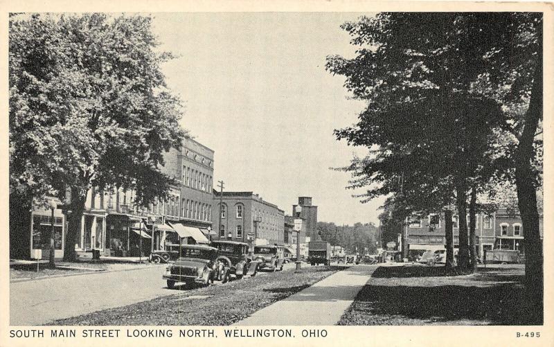 F64/ Wellington Ohio Postcard c1940s South Main Street Stores 2